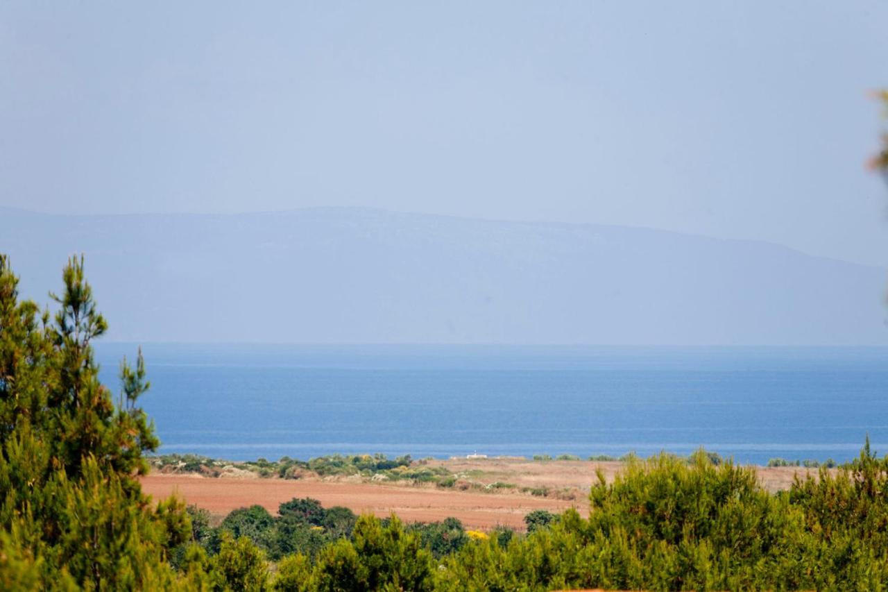 Villa Bella - Beautiful And Modern House With Pool, Souna, Jacuzzi & Playground, Liznjan - Istra 외부 사진